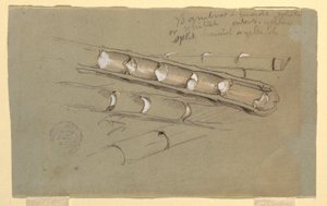 Studie von Bambus, Juni 1857 von Frederic Edwin Church