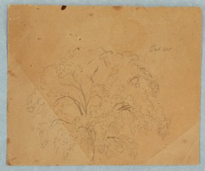 Baum; Rückseite: Ansicht einer Kirche, zwei englische Frauen von 1636, Studie eines Pferdes, Oktober 1845 von Frederic Edwin Church