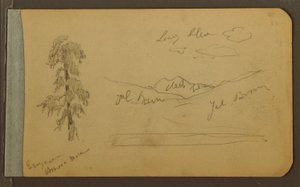 Baum, Berge, 1889