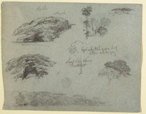 Bäume, Baumwipfel und ein bewaldetes Ufer, Saddleback, Maine, 1853
