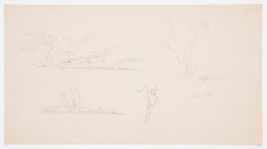 Bäume, ein Ufer mit Büschen und Bäumen, September 1876