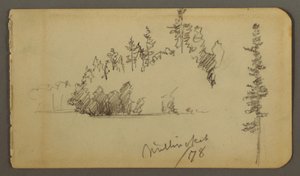 Zeichnung, bewaldetes Ufer, Baumstudie, 1878 von Frederic Edwin Church