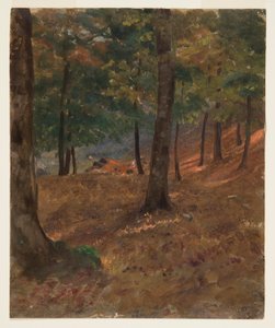 Zeichnung, Waldszene, 1870–80
