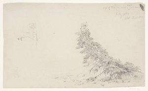 Immergrüner Baum in der Nähe des Ufers mit einem Detail des Leuchtturms und eines Hauses, Mount Desert, Maine von Frederic Edwin Church