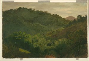 Landschaft aus Jamaika