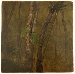 Landschaft in Jamaika