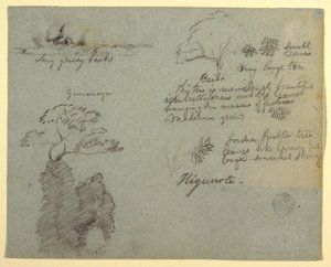 Flussufer und botanische Skizzen aus Higuerote, Ecuador