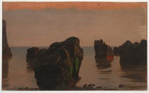 Felsen und Moos vor Grand Manan von Frederic Edwin Church