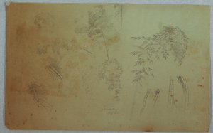 Studien von Baumwipfeln und Bambus, Jamaika von Frederic Edwin Church