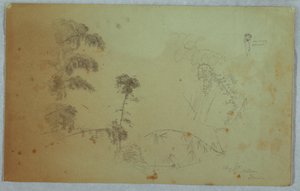 Studien von Bäumen mit Details von Bambus und einem kleinen Detail eines Mannes, der Bananen auf dem Kopf trägt, Bellevue, Jamaika von Frederic Edwin Church