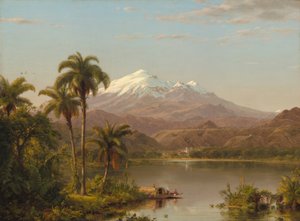 Tamaca-Palmen