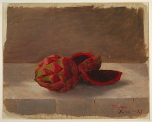 Die Pitajaya-Frucht, Kolumbien