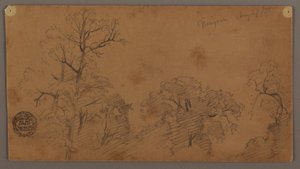 Baumkronen, Niagara