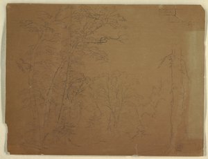 Bäume, Grand Manan Island, Kanada von Frederic Edwin Church