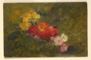 Wildblumen, Jamaika