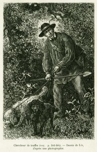 Ein Trüffelsucher. Gravur von Lix zur Illustration der Geschichte A Travers l