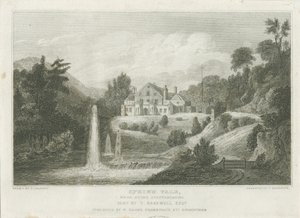 Stone - Spring Vale von Frederick Calvert