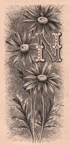 Buchstabe N, Initiale, Gravur, ca. 1880 von Frederick Edward Hulme