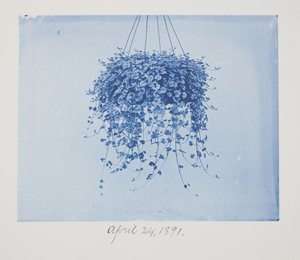 Ohne Titel, 24. April von Frederick K. Coulson