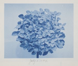 Ohne Titel, 1. Juli von Frederick K. Coulson