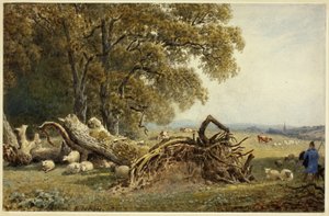 Schafe, Kühe und Hirte bei entwurzeltem Baum