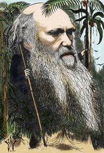 Charles DARWIN (1809-1882) Karikatur von F. Waddy in „Once A Week“ von 1873 von Frederick Waddy