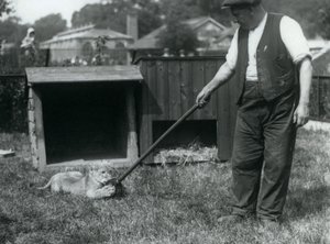 Ein Löwenjunges spielt mit einem Mopp, den sein Pfleger hält, auf dem Gras vor seinem Gehege, Londoner Zoo, September 1925