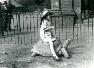 Ein kleines Mädchen, Betty, hält einen Stock mit einem Apfel am Ende, um die Riesenschildkröte zu führen, auf der sie reitet, London Zoo, 1924