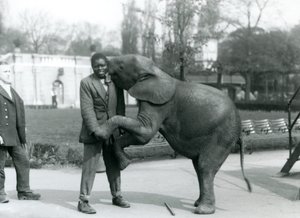 Ein junger afrikanischer Zwergelefant steht auf den Hinterbeinen, um ihren afrikanischen Trainer zu umarmen, während der Pfleger zusieht, Londoner Zoo, Juli 1925