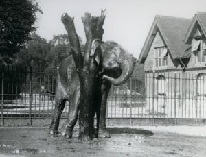 Ein asiatischer Elefant, der sich hinter dem Ohr am Kratzpfosten kratzt, in seinem Gehege, Londoner Zoo