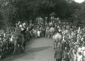 Elefantenritte, mit drei asiatischen Elefanten, beobachtet von Menschenmengen im London Zoo im August 1926