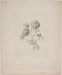 Blumenmotiv von Frederik Schepelern
