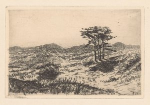 Hügellandschaft mit drei Kiefern von Frederik van Eeden