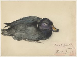 Schwarze Samtente von Frederika Henriëtte Broeksmit