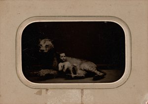 Porträt eines Kindes von French 19th Century