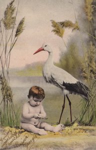 Baby mit Storch