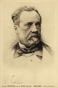 Louis Pasteur (1822-1895), französischer Chemiker und Mikrobiologe von French Photographer