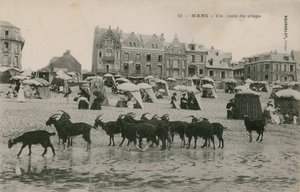 Mers - ein Teil des Strandes von French Photographer