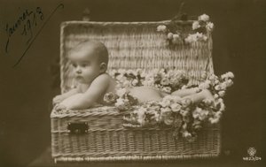 Postkarte eines Babys in einem Weidenkorb mit Blumen, gesendet im Januar 1913 von French Photographer