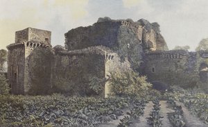 Tiffauges, Burgruinen, Ansicht vom Hof von French Photographer