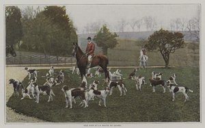 Tom Firr und die Hunde der Quorn Hunt, Leicestershire