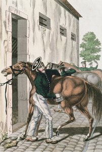 Ein Dragoner pflegt sein Pferd, Platte 257 aus einer Serie französischer kaiserlicher Soldaten, um 1800-10