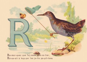 A: Beachten Sie, dass der Rittervogel, Erfolg, die hübschen Schmetterlinge zu fangen von French School