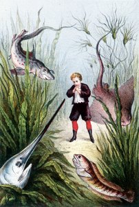 Ein Junge umgeben von riesigen Fischen - in "Reise zum Meeresgrund" von H. de la Blanchère. Paris, ed. Jouvet et Cie, sd. 1880. (doppelt 02941)