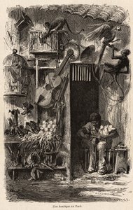 Ein Geschäft in Para, Illustration für Herrn Biards Reise nach Brasilien in den Jahren 1858-1859. Gravur in „Le tour du monde“ 1861. Sammlung Selva. von French School