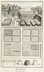 Ein Gemüsegarten, aus der Enzyklopädie der Wissenschaft, Kunst und Technik von Denis Diderot (1713-84), ca. 1770 von French School