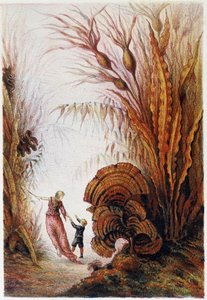 Eine Frau und ein Junge gehen durch die Unterwasserwelt - in „Reise zum Meeresgrund“ von H. de la Blanchère. Paris, ed. Jouvet et Cie, sd. 1880