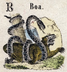 Abecedarium. Buchstabe B wie Boa. Kleines enzyklopädisches Alphabet, beliebte Serie. Epinaler Bildgebung, Ende des 19. Jahrhunderts von French School