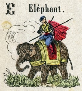 Abecedarium. Buchstabe E wie Elefant. Kleines enzyklopädisches Alphabet, beliebte Serie. Epinaler Bildgebung, Ende des 19. Jahrhunderts