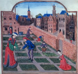 Ein ummauerter Kräutergarten in einer Stadt, aus Livre des profits ruraux von Piero de Crescenzi aus Bologna
